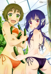 10s 2girls :d :o absurdres ass bikini blush brown_hair cucumber eyebrows food green_eyes highres kinoshita_ringo_(no-rin) long_hair looking_back megami_magazine multiple_girls nakazawa_minori no-rin non-web_source official_art open_mouth purple_hair red_eyes short_hair side-tie_bikini_bottom smile string_bikini swimsuit wakayama_masashi