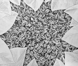 Rule 34 | bush, greyscale, hedge, highres, ibsukionsen, leaf, monochrome, no humans, original, palm leaf, plant, plant focus, scenery, shadow, still life, tree shade, white background