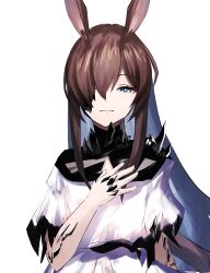 Rule 34 | 1girl, amiya (arknights), amiya (demon king) (arknights), animal ears, arknights, brown hair, closed mouth, colored inner hair, commentary request, grey eyes, grey hair, hair over one eye, hand on own chest, highres, light smile, long hair, material growth, multicolored hair, one eye covered, oripathy lesion (arknights), partial commentary, short sleeves, simple background, solo, staring, upper body, white background, yoi (a27963244)