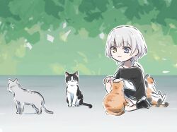 1girl :3 bang_dream! bang_dream!_it&#039;s_mygo!!!!! black_shirt blue_eyes cat commentary heterochromia kaname_raana kneeling layered_sleeves long_sleeves lyy raana_the_cat shirt short_hair short_over_long_sleeves short_sleeves solo white_hair white_shirt yellow_eyes
