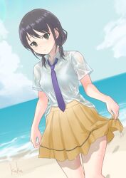 1girl alternate_eye_color beach black_eyes black_hair blush bra_visible_through_clothes breasts closed_mouth cloud collared_shirt commentary_request cowboy_shot day dutch_angle hair_between_eyes highres kuku_(laser_beamer) low_twintails medium_hair miniskirt necktie ocean outdoors pleated_skirt purple_necktie sand school_uniform see-through_clothes see-through_shirt shirt shirt_partially_tucked_in short_sleeves signature skirt skirt_hold sky small_breasts solo tamura_yuri twintails watashi_ga_motenai_no_wa_dou_kangaetemo_omaera_ga_warui! water_drop wet wet_clothes wet_shirt white_shirt yellow_skirt