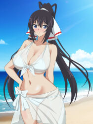 1girl beach bikini black_hair blue_eyes blue_sky breasts cleavage cloud commentary_request cowboy_shot day front-tie_bikini_top front-tie_top hair_ribbon hata_(pixiv10403940) highres horizon infinite_stratos large_breasts long_hair looking_at_viewer ocean outdoors ponytail ribbon sarong see-through_clothes see-through_sarong shinonono_houki sky solo split_ponytail swimsuit white_bikini white_ribbon white_sarong