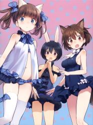 3girls :o animal_ears bikini black_hair blue_eyes blue_one-piece_swimsuit brave_witches breasts brown_eyes brown_hair cat_ears cat_girl cat_tail georgette_lemare hair_ornament hairclip highres karibuchi_hikari long_hair looking_at_viewer medium_breasts multiple_girls navel official_art one-piece_swimsuit open_mouth rabbit_ears rabbit_girl red_eyes shimada_fumikane shimohara_sadako short_hair squirrel_ears squirrel_girl squirrel_tail standing swimsuit tail twintails world_witches_series