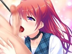 1boy 1girl ayase_hazuki bdsm black_collar blue_sailor_collar blush censored clothed_female_nude_male collar collarbone collared_shirt fellatio game_cg hair_between_eyes half-closed_eyes heart_pendant hetero kurumizaka_rui leash licking licking_penis long_hair mosaic_censoring nude open_mouth oral penis plaid_clothes plaid_sailor_collar purple_eyes red_hair sailor_collar sailor_shirt shirt slave testicles tongue tongue_out tsundere_idol_wa_boku_dake_no_m_pet twintails very_long_hair white_shirt