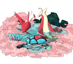 absurdres antennae cherry_blossoms commentary floating gen_3_pokemon highres latias legendary_pokemon milotic nintendo no_humans orange_eyes partially_submerged pokemon pokemon_(creature) pokemon_focus pond red_eyes reflection reflective_water ripples rock shiratamint symbol-only_commentary tail water white_background wings