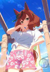 1girl absurdres animal_ears blush breasts brown_eyes collarbone commentary_request gaze_on_me!_outfit_(umamusume) hair_between_eyes hair_ornament highres horse_ears horse_girl horse_tail lens_flare looking_at_viewer medium_breasts medium_hair navel nice_nature_(umamusume) red_hair sagen shorts sky solo tail umamusume wet