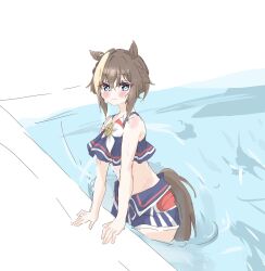Rule 34 | 1girl, animal ears, bare shoulders, bikini, bikini shorts, blue bikini, blue eyes, blue swim trunks, blush, brown hair, cheval grand (summer calm navy drop) (umamusume), cheval grand (umamusume), closed mouth, hair between eyes, highres, horse ears, horse girl, horse tail, looking at viewer, multicolored hair, navel, official alternate costume, pool, poolside, sdksdk 34, shorts, smile, solo, streaked hair, swimsuit, tail, umamusume, water, white hair