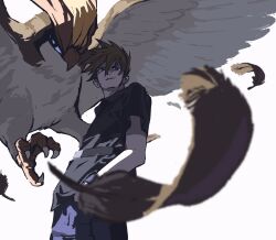 Rule 34 | 1boy, bird, black shirt, blue oak, brown eyes, brown hair, falling feathers, feathers, gen 1 pokemon, hands in pockets, highres, looking at viewer, male focus, nintendo, pants, pidgeot, pokemon, pokemon (creature), shirt, spiked hair, standing, tangi ver, white background, wings