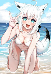 Rule 34 | 1girl, ahoge, animal ear fluff, animal ear piercing, animal ears, beach, bikini, blue eyes, blush, braid, breasts, cleavage, cloud, cloudy sky, collarbone, fox ears, fox girl, fox shadow puppet, fox tail, highres, hololive, long hair, looking at viewer, medium breasts, navel, open mouth, overtack2, shirakami fubuki, side braid, sky, smile, solo, stomach, swimsuit, tail, white bikini