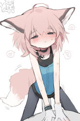 1boy 1girl animal_ears arknights black_choker black_pantyhose blue_eyes blue_vest blush choker commentary_request flat_chest fox_ears fox_girl fox_tail half-closed_eyes heart hetero highres material_growth oripathy_lesion_(arknights) pantyhose parted_lips penis pink_hair short_hair simple_background solo_focus speech_bubble spoken_heart sussurro_(arknights) tail unitedunti vest white_background