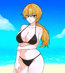 Rule 34 | 1girl, beach, bikini, black bikini, black eyes, blonde hair, blue sky, breasts, cleavage, closed mouth, collarbone, commentary, cowboy shot, day, fear &amp; hunger (series), fear &amp; hunger 2: termina, hair tie, hidemaan2000, highres, holding own arm, karin (fear &amp; hunger), long hair, looking at viewer, navel, outdoors, ponytail, sky, solo, stomach, swimsuit