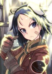 Rule 34 | 1girl, animal ears, bandaid, bandaid on face, black eyes, black hair, brave witches, brown gloves, brown jacket, dog ears, dog girl, gloves, irue, jacket, kanno naoe, looking at viewer, military, military uniform, scarf, short hair, solo, striped clothes, striped scarf, upper body, world witches series