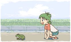 1girl animated animated_gif child cloud emoncake. female_focus frog green_hair koiwai_yotsuba lowres open_mouth outdoors quad_tails raglan_sleeves shirt shorts sky smile solo t-shirt yotsubato!
