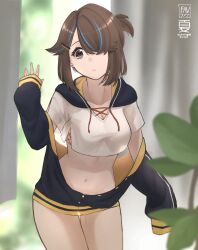 1girl absurdres alice_gunlock brown_eyes brown_hair crop_top fav_faris hair_over_one_eye highres long_sleeves midriff navel no_panties no_pants original short_hair thighs
