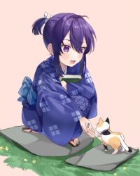 1boy :d aged_down ahoge baby_animal blue_kimono book calico_cat cat child double-parted_bangs ensemble_stars! fish flower grass hair_between_eyes hair_intakes happy holding holding_book japanese_clothes kanzaki_souma kimono kitten long_sleeves looking_at_animal male_focus motoyui nancy980216 obi official_alternate_costume official_alternate_hair_length official_alternate_hairstyle on_one_knee open_mouth pet_food pink_background ponytail purple_eyes sash short_ponytail sidelocks simple_background smile solo stone_walkway tabi teeth upper_teeth_only wide_sleeves yellow_flower