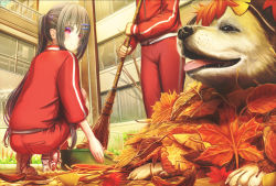1girl 1other aiuabo animal autumn_leaves bamboo_broom black_hair blush broom bucket building commentary_request dog hair_ornament hair_over_one_eye hairpin head_out_of_frame holding holding_broom jacket leaf long_hair long_sleeves looking_at_animal original outdoors pants ponytail red_jacket red_pants red_track_suit shoes slice_of_life smile sneakers squatting sweatdrop sweeping tongue tongue_out track_jacket track_suit window
