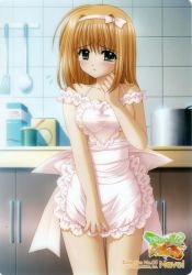 Rule 34 | 00s, 1girl, ahoge, apron, bare shoulders, blue eyes, bow, breasts, clenched hand, collarbone, company name, cooking pot, copyright name, cowboy shot, embarrassed, female focus, flying sweatdrops, fuyou kaede, hair bow, hairband, hand up, heart apron, indoors, kitchen, lace, lace-trimmed apron, lace trim, ladle, legs together, logo, looking at viewer, medium breasts, naked apron, nishimata aoi, off shoulder, official art, orange hair, parted lips, pink apron, pink bow, raised eyebrows, really? really!, ribbon, scan, short hair, shuffle!, sideboob, solo, spatula, standing, tears, thigh gap, tile wall, tiles