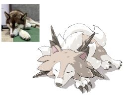 animal_focus closed_eyes closed_mouth commentary gen_7_pokemon highres lycanroc lycanroc_(midday) nintendo no_humans photo_inset pokemon pokemon_(creature) reference_inset shadow simple_background sleeping solo suzutsuki_(sztk_wip) white_background wolf