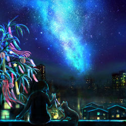 00 1girl blurry building cat child city city_lights colorful dark female_focus highres house night night_sky original ornament scenery sitting sky solo star_(sky) star_(symbol) tanabata tanzaku