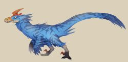 Rule 34 | absurdres, animal focus, blue feathers, claws, closed mouth, dinosaur, feathered dinosaur, feathers, full body, highres, miqo te, monster, monster hunter (series), no humans, redesign, sharp teeth, simple background, solo, tail, talons, teeth, velocidrome, velociraptor, wings, yellow eyes