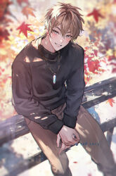 Rule 34 | 1boy, alternate costume, autumn, autumn leaves, bench, black sweater, blurry, blurry background, blurry foreground, blush, brown eyes, brown hair, brown pants, commentary, crystal necklace, dated, day, depth of field, eiden (nu carnival), english commentary, falling leaves, from above, hair between eyes, highres, jewelry, leaf, long sleeves, looking at viewer, looking up, male focus, maple leaf, necklace, nu carnival, on bench, open mouth, outdoors, own hands together, owner bird, pants, parted lips, pendant, short hair, sitting, smile, solo, sweater, teeth