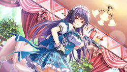 1girl blue_skirt bow brown_hair chair corset day girlfriend_(kari) grey_legwear indoors kagurazaka_saya leggings long_hair looking_at_viewer maid_headdress official_art open_mouth plaid_clothes plaid_skirt pleated_skirt purple_hair qp:flapper red_bow red_eyes restaurant shirt short_sleeves skirt smile standing tagme waitress white_shirt