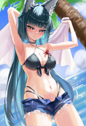 1girl absurdres alternate_costume animal_ear_fluff animal_ears bikini black_bikini breasts commentary_request cutoffs denim denim_shorts fox_ears fox_girl gang_ryeol green_hair highleg highleg_bikini highres hoshimi_miyabi long_hair looking_at_viewer medium_breasts micro_shorts multi-strapped_bikini_bottom navel red_eyes shorts smile solo swimsuit very_long_hair zenless_zone_zero