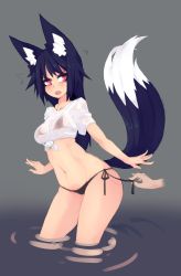 &gt;:o 1girl :o ^^^ animal_ear_fluff animal_ears artist_name bikini black_bikini black_hair blush bra fang fox_ears fox_tail grey_background highres kiri_(sub-res) long_hair navel open_mouth original panties red_eyes see-through_clothes shirt side-tie_bikini_bottom simple_background solo_focus string_bikini string_panties string_pull sub-res swimsuit tail tied_shirt underwear v-shaped_eyebrows wading water wet wet_clothes