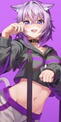 Rule 34 | 1girl, ahoge, animal ear fluff, animal ears, black collar, black jacket, blue eyes, cat ears, cat girl, cat tail, collar, commentary, hair between eyes, highres, hololive, jacket, kobayashi (jna x rgh), looking at viewer, midriff, navel, nekomata okayu, nekomata okayu (oversized shirt), purple background, purple hair, short hair, simple background, solo, tail, virtual youtuber