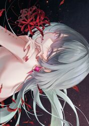 1girl absurdres breasts chigusa7h commentary earrings fingernails floating_hair flower from_side grey_hair hand_on_own_shoulder highres jewelry long_hair looking_at_viewer looking_to_the_side mouth_hold nail_polish nude phrolova_(wuthering_waves) pink_nails portrait red_petals sideways small_breasts solo spider_lily tacet_mark_(wuthering_waves) teeth white_eyes wuthering_waves