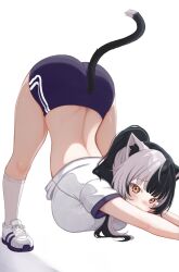 1girl :3 all_fours animal_ears ass black_hair blue_shorts blunt_bangs breasts cat_ears cat_girl cat_stretch cat_tail closed_mouth commentary english_commentary grey_hair gym_uniform highres hololive hololive_english kneehighs large_breasts long_hair looking_at_viewer lynnavtt median_furrow multicolored_hair ponytail ribbed_socks shiori_novella shirt shoes short_shorts shorts simple_background sneakers socks solo split-color_hair stretching tail top-down_bottom-up virtual_youtuber white_background white_shirt white_shoes white_sneakers white_socks yellow_eyes
