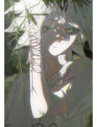 1boy alternate_costume bare_arms border colored_eyelashes danganronpa_(series) danganronpa_2:_goodbye_despair day expressionless forest green_eyes hair_between_eyes hand_on_own_head highres kiyoshi_st komaeda_nagito light_frown male_focus messy_hair nature outdoors pale_skin parted_lips pillarboxed self-harm_scar shade shirt short_hair short_sleeves solo t-shirt upper_body white_border white_hair white_shirt willow