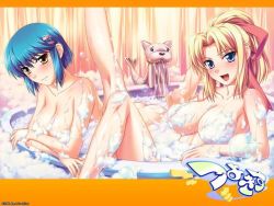 2005 2girls :d bath bath_kick bathtub blonde_hair blue_eyes blue_hair blush breasts brown_eyes bubble bubble_bath censored cleavage convenient_censoring copyright_name covering_privates crossed_arms hair_ornament hair_ribbon hairclip kiriya_erika kneepits kurogane_otome large_breasts lather leg_up looking_at_viewer multiple_girls nude nude_cover open_mouth ponytail ribbon same-sex_bathing shared_bathing shironeko_sanbou smile soap soap_bubbles soap_censor tsuyokiss tub water