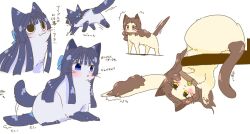 :3 animal animal_collar animal_focus animalization bell black_hair blue_eyes blush brown_eyes brown_hair cat collar dilated_pupils hutaba idolmaster idolmaster_million_live! kitazawa_shiho long_hair mogami_shizuka multiple_views neck_bell no_humans simple_background tail tail_wagging translation_request white_background