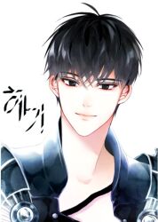 1boy armor black_eyes black_hair looking_at_viewer mabinogi mabinogi_heroes short_hair shoulder_armor signature simple_background white_background