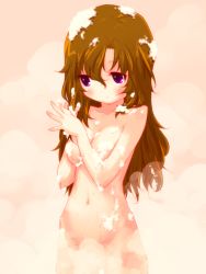 Rule 34 | 0123456789, 1girl, anyamal tantei kirumin zoo, bathing, brown eyes, brown hair, censored, convenient censoring, female focus, mikogami nagisa, navel, nude, soap bubbles, soap censor, solo