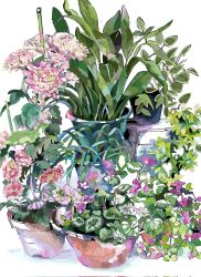 cabinet dirt ff_yufu flower flower_focus highres no_humans original petals pink_flower plant potted_plant purple_flower still_life white_background