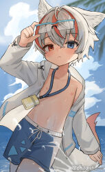 1boy absurdres animal_ears blue_swim_trunks child glasses heterochromia highres jacket male_swimwear ocean omurice_(roza4957) original oversized_clothes short_hair shota tail white_hair white_jacket