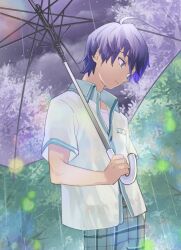 1boy ahoge ajpp6 asfeld_academy_school_uniform blue_eyes blue_hair blue_pants commentary_request cowboy_shot dragon_quest dragon_quest_x highres holding holding_umbrella leaf looking_down male_focus outdoors pants plaid_clothes plaid_pants purple_umbrella rain risoru_(dq10) school_uniform shirt short_hair short_sleeves solo transparent transparent_umbrella tree umbrella white_shirt