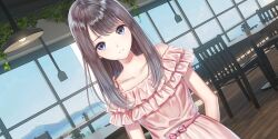 Rule 34 | 1girl, arms behind back, blue reflection (series), blue reflection sun, blue sky, brown hair, cafe, ceiling light, chair, closed mouth, collarbone, cowboy shot, day, dress, dutch angle, frilled dress, frills, game cg, grey eyes, hanging plant, highres, indoors, ivy, kasuga shiho, kishida mel, light smile, long hair, looking at viewer, non-web source, official art, pink dress, plant, potted plant, sky, solo, table, window, wooden floor
