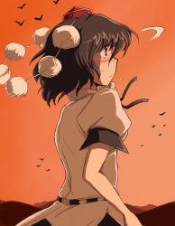 1girl blush brown_eyes brown_hair female_focus flx from_behind hat looking_away profile scenery shameimaru_aya shy solo sunset sweatdrop tokin_hat touhou