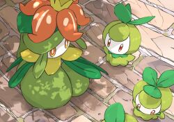 aomon_(yuuji7604) brick_floor colored_skin crown evolutionary_line gen_5_pokemon highres lilligant looking_at_another monster_girl nintendo no_mouth orange_eyes petilil plant_girl pokemon pokemon_(creature) pokemon_focus white_skin