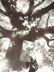 Rule 34 | 1boy, arknights, chongyue (arknights), commentary request, dappled sunlight, hand up, highres, holding, holding photo, korean commentary, nills, out of frame, outdoors, photo (object), sunlight, tree