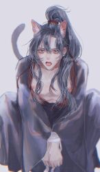 Rule 34 | 1boy, ahoge, animal ear fluff, animal ears, bare pectorals, bishounen, black hair, black hanfu, blurry, bound, bound wrists, cat boy, cat ears, cat tail, chinese clothes, chromatic aberration, collarbone, eyelashes, fangs, feet out of frame, grey background, grey eyes, hair between eyes, hair ribbon, hanfu, high ponytail, highres, kemonomimi mode, long hair, long sleeves, looking at viewer, male focus, modao zushi, nipples, ojisan rbt, open clothes, open mouth, open robe, pectorals, ponytail, red ribbon, ribbon, robe, sidelocks, simple background, solo, squatting, tail, tongue, twitter username, wei wuxian, white background, wide sleeves