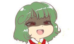 1girl :d ara_ara ascot blush_stickers chibi collared_shirt green_hair gyate_gyate jaggy_lines kazami_yuuka medium_hair meme open_mouth partially_shaded_face plaid_clothes plaid_vest portrait red_eyes red_vest shirt smile solo sparkle touhou transparent_background vest yellow_ascot yklvr