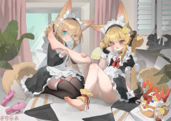2girls :q absurdres animal_ear_fluff animal_ears ankle_garter apron ascot barefoot bell black_dress black_panties black_ribbon black_scrunchie black_thighhighs blonde_hair blue_eyes blush braid braided_hair_rings brown_hair cake closed_mouth collar commentary_request detached_collar double_bun dress feet food food-themed_hair_ornament fox_ears fox_girl fox_tail frilled_apron frills full_body furrowed_brow garter_straps hair_bun hair_ornament hair_ribbon hair_rings hair_scrunchie haniwa_(statue) highres holding_another&#039;s_leg indoors jingle_bell kele_mimi leg_up lemon_hair_ornament long_hair long_sleeves maid maid_headdress multiple_girls neck_bell no_shoes original panties pantyhose pantyshot petticoat puffy_long_sleeves puffy_sleeves red_ascot red_eyes ribbon saliva saliva_trail scrunchie sitting soles striped_clothes striped_panties tail thighband_pantyhose thighhighs toes tongue tongue_out twintails two-tone_panties underwear upskirt white_apron white_collar white_panties white_wrist_cuffs wrist_cuffs yellow_panties yuri