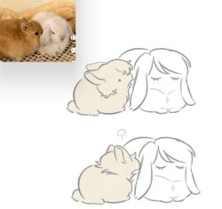 animal_focus animalization closed_eyes faust_(project_moon) highres limbus_company no_humans ohzv photo-referenced photo_inset project_moon rabbit simple_background sinclair_(project_moon) white_background white_fur yellow_fur