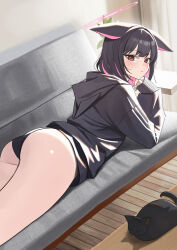 1girl absurdres animal_ears ass black_cat black_hair black_hoodie black_panties blue_archive blush cat cat_ears closed_mouth colored_inner_hair couch curtains halo highres hood hoodie indoors kazusa_(blue_archive) long_sleeves looking_at_viewer looking_back lying medium_hair momocadraw multicolored_hair on_couch on_stomach panties pink_eyes pink_hair pink_halo plant sleeping sleeves_past_wrists thighs two-tone_hair underwear wooden_floor