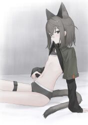 1girl absurdres animal_ear_fluff animal_ears bandaid bandaid_on_face bandaid_on_nose black_eyes bra cat_ears cat_girl cat_tail clothes_lift collared_shirt flat_chest grey_bra grey_hair grey_panties hai_(haihki) hair_between_eyes highres layered_sleeves lifting_own_clothes long_sleeves looking_at_viewer medium_hair mouth_hold original panties shirt shirt_lift simple_background sitting sleeves_past_wrists solo stomach tail thigh_strap training_bra underwear