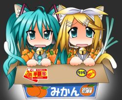 animal_ears bad_id bad_pixiv_id box carrot cat_ears cat_tail food for_adoption fruit hatsune_miku in_box in_container kagamine_rin long_hair orange_(fruit) rindou_(awoshakushi) spring_onion tail tears very_long_hair vocaloid yamaha